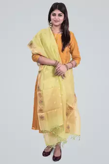 Pure Organza Silk banarasi Zari Booti Dupatta