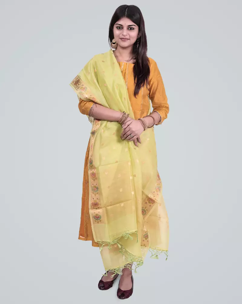 Pure Organza Silk banarasi Zari Booti Dupatta