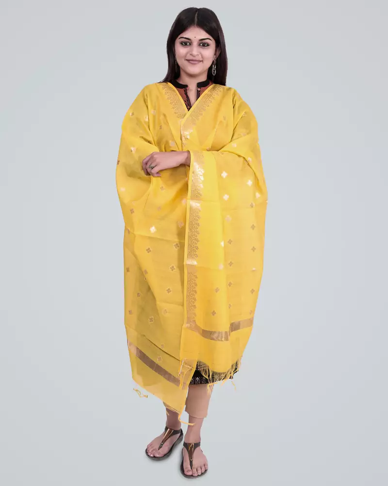 Pure Chanderi Silk Banarasi Zari Booti Dupatta