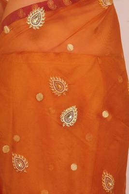 Mustard embroidered net saree with blouse 3