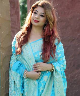 Sky Blue Pure Chiffon Banarasi Silk Saree 1