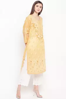 Hand Embroidered Fawn Cotton Lucknow Chikan Women Kurta