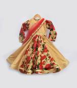 Golden and Printed  Anarkali