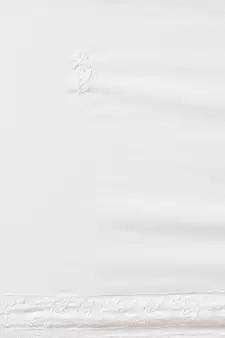 Hand Embroidered White Georgette Lucknow Chikan Saree With Blouse