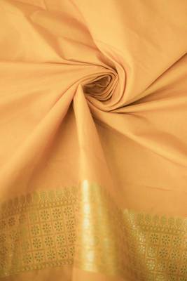 Embroidered Mustard Hand-loom Dupian Tissue Silk Sari 5