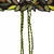 Anekaant Green & Multi Bead Work Botanical Cotton & Canvas Handmade Belt