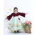 Maroon Yoke with Pista Green Net Anarkali