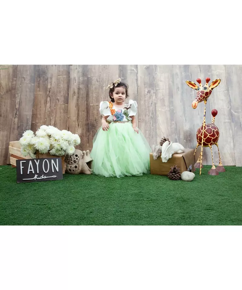 Off white and Green Net Gown with Animals motifs