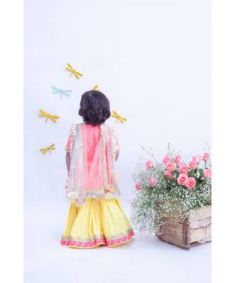 Multi Colour Net Layers Gown 2