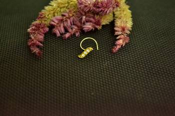 Designer Gold cubic zirconia Casual nose ring or Nose Pin 1