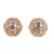 White Gold Plated Stone Earrings