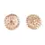 White Gold Plated Stone Earrings