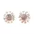 Gold Plated American diamonds Earrings