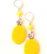 Fruity Colourful Earrings