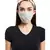 Sahara Forest Dash Print Reversible  Ply Mask With Pouch Hairb