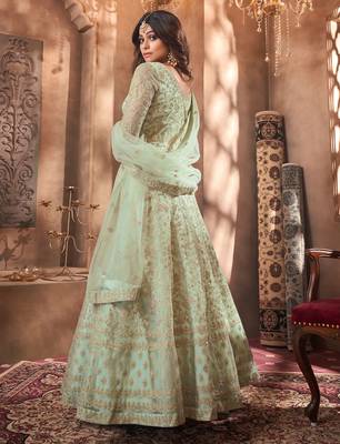 Light-parrot-green embroidered net salwar 2