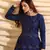 Navy-Blue pigment foliage Taffeta Silk Party Wear gown