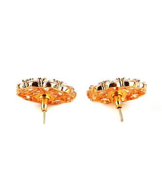 White Gold Plated Stone Earrings 4
