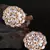 White Gold Plated Stone Earrings