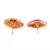 Pink Gold Plated Stone Earrings