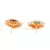 White Gold Plated Stone Earrings
