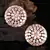 White Gold Plated Stone Earrings