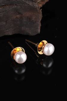 White Gold Plated Stone Earrings