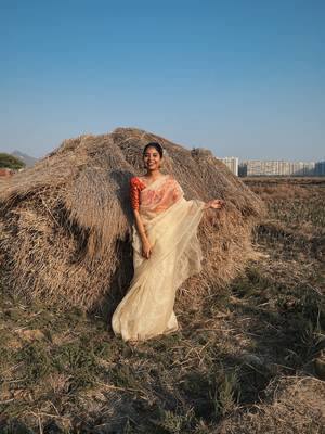 Golden Solid Organza Tissue Silk pure Saree with Jacquard Blouse 2