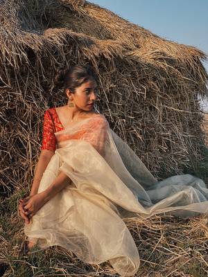 Golden Solid Organza Tissue Silk pure Saree with Jacquard Blouse 4