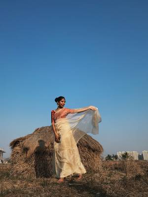 Golden Solid Organza Tissue Silk pure Saree with Jacquard Blouse 5