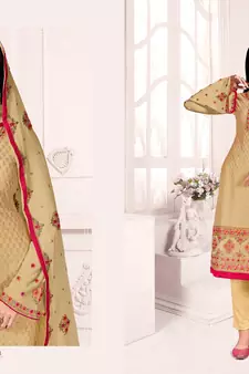 Beige embroidered georgette salwar