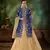 Blue embroidered velvet salwar