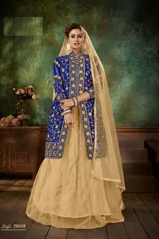 Blue embroidered velvet salwar