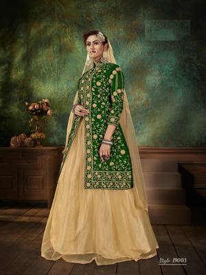 Green embroidered velvet salwar 2