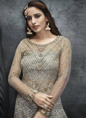 Grey Net Lehenga & Pant Style Suit 3