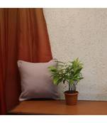 100% Cotton Grey Cord Piping Cushion cover (12x12 in)