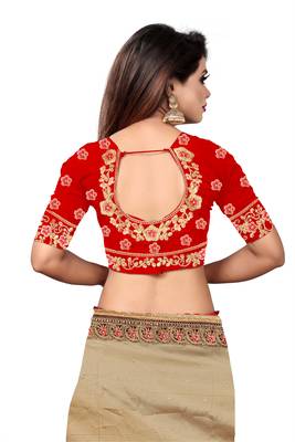 Chiku embroidered silk saree with blouse 5