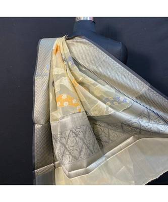 Orghanza Cream Saree With Black Brocket Blouse 3