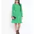 Green plain Polyester Dress