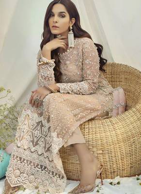 Cream Net Pakistani Salwar Kameez 2