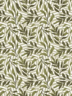 Pattern Print 12 - D 5