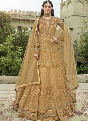 Dark Cream Net Pakistani Salwar Kameez 1