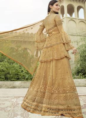 Dark Cream Net Pakistani Salwar Kameez 2