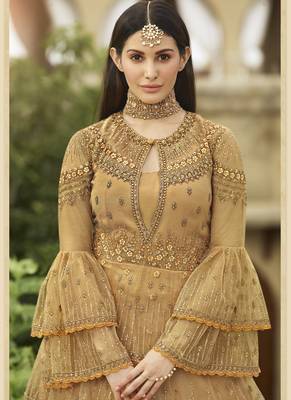 Dark Cream Net Pakistani Salwar Kameez 3