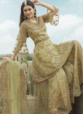 Beige Net Pakistani Salwar Kameez 2