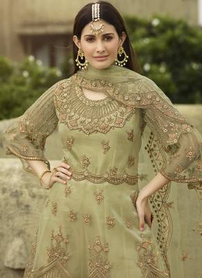 Beige Net Pakistani Salwar Kameez 3