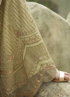 Beige Net Pakistani Salwar Kameez 4