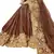 Brown embroidered lycra saree with blouse