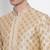 Mens Deep Beige-Coloured Woven Design Straight Kurta