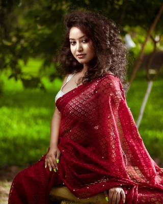Women Jacquard  Net Saree marron 7